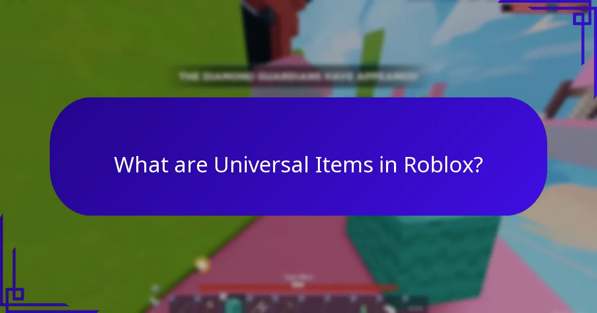 What are Universal Items in Roblox?