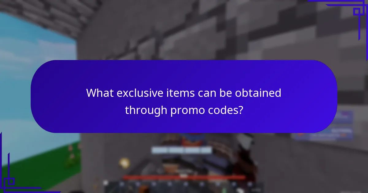 What exclusive items can be obtained through promo codes?